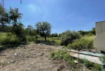 Lote de Terreno en  Sebastián Elizondo I, Apodaca