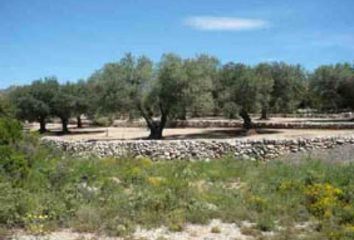 Terreno en  Canet Lo Roig, Castellón Provincia