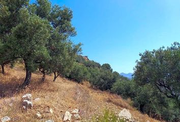 Terreno en  Almuñecar, Granada Provincia