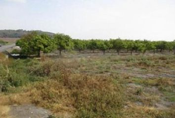 Terreno en  Almenara, Castellón Provincia