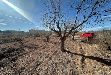 Terreno en  Pinoso, Alicante Provincia