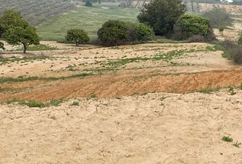 Terreno en  Bollullos Par Del Condado, Huelva Provincia