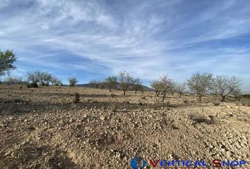 Terreno en  Caudete, Albacete Provincia