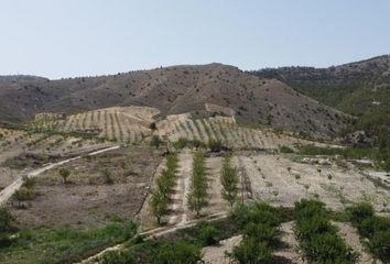 Terreno en  Los Cerricos, Almería Provincia