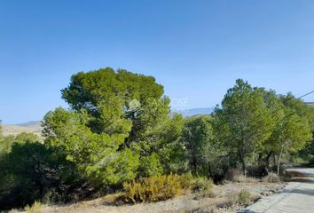 Terreno en  Aspe, Alicante Provincia