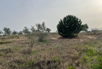 Terreno en  La Palma Del Condado, Huelva Provincia