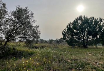 Terreno en  La Palma Del Condado, Huelva Provincia