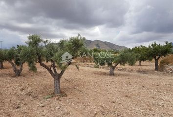 Terreno en  Hondon De Las Nieves, Alicante Provincia