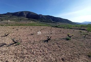 Terreno en  Algueña, Alicante Provincia