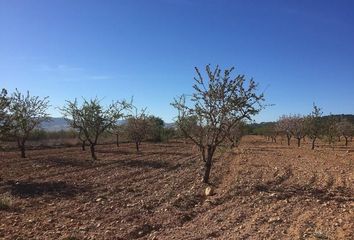 Terreno en  Salinas, Alicante Provincia