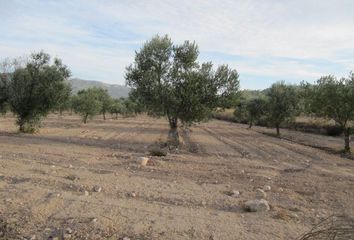 Terreno en  Salinas, Alicante Provincia