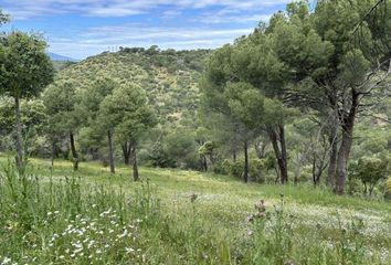 Terreno en  Navas Del Rey, Madrid Provincia