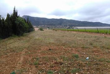 Terreno en  Aspe, Alicante Provincia