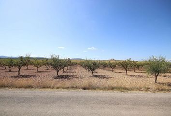 Terreno en  Pinoso, Alicante Provincia