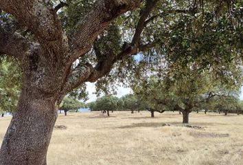 Terreno en  San Pedro Del Valle, Salamanca Provincia