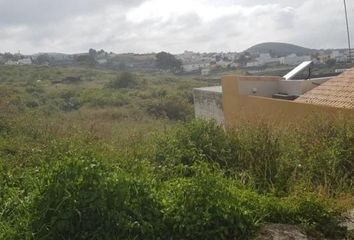 Terreno en  Firgas, Palmas (las)