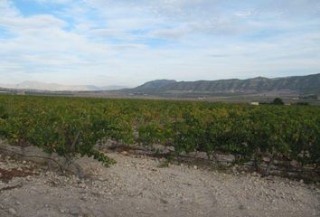 Terreno en  Salinas, Alicante Provincia