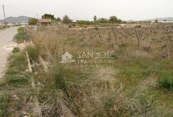 Terreno en  Novelda, Alicante Provincia