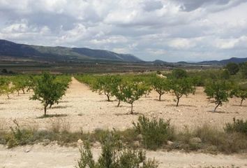 Terreno en  Pinoso, Alicante Provincia