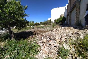 Terreno en  Arcos De La Frontera, Cádiz Provincia