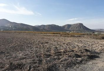 Terreno en  Aspe, Alicante Provincia