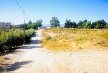 Terreno en  Las Torres De Cotillas, Murcia Provincia