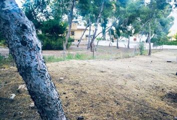 Terreno en  Las Torres De Cotillas, Murcia Provincia