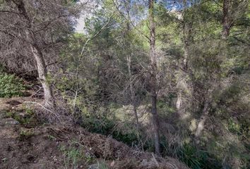 Terreno en  Benissa, Alicante Provincia