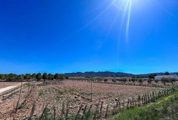 Terreno en  Yecla, Murcia Provincia