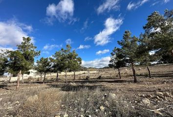 Terreno en  Salinas, Alicante Provincia