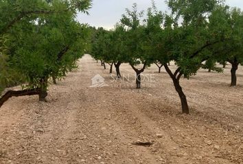 Terreno en  Pinoso, Alicante Provincia