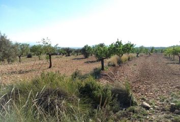 Terreno en  Pinoso, Alicante Provincia