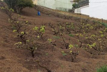 Terreno en  Santa Brígida, Palmas (las)