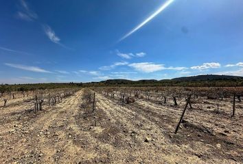 Terreno en  Yecla, Murcia Provincia