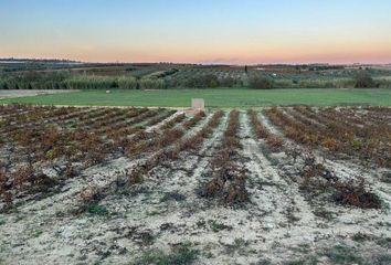 Terreno en  Bollullos Par Del Condado, Huelva Provincia