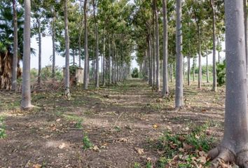 Terreno en  Pego, Alicante Provincia