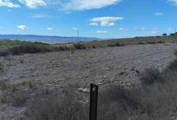 Terreno en  Hoya, La (la Hoya), Murcia Provincia