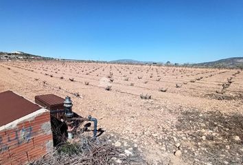 Terreno en  Pinoso, Alicante Provincia