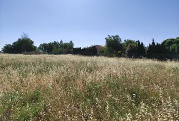 Terreno en  Ciudad Real, Ciudad Real Provincia