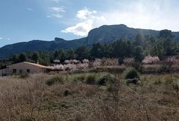 Terreno en  La Romana, Alicante Provincia