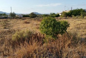 Terreno en  Aspe, Alicante Provincia