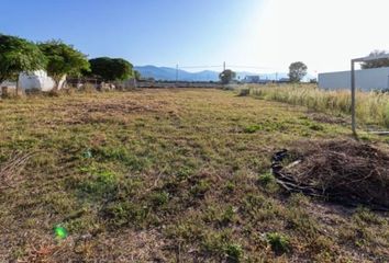 Terreno en  Oliva, Valencia/valència Provincia