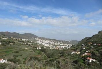 Terreno en  Teror, Palmas (las)