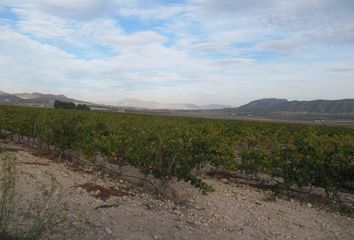 Terreno en  Salinas, Alicante Provincia