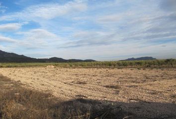 Terreno en  Salinas, Alicante Provincia