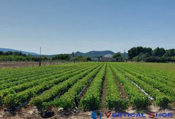 Terreno en  Caudete, Albacete Provincia