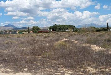 Terreno en  El Campello, Alicante Provincia