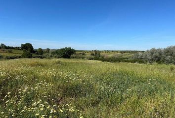 Terreno en  Bollullos Par Del Condado, Huelva Provincia