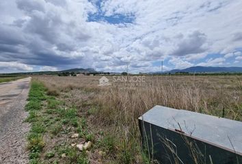 Terreno en  Monóver/monóvar, Alicante Provincia