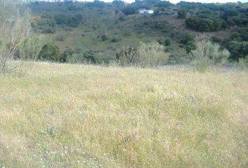 Terreno en  Navas Del Rey, Madrid Provincia